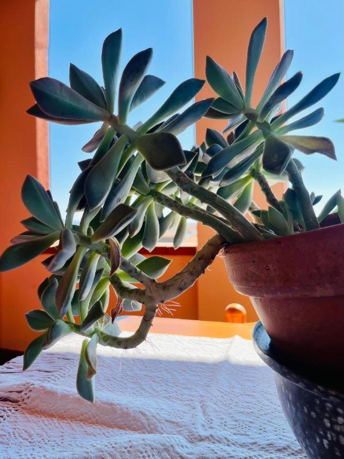 San Sperate Casa Di Rosy 아파트 외부 사진